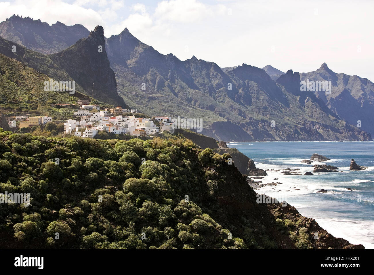 Canary Islands: Tenerife Stock Photo