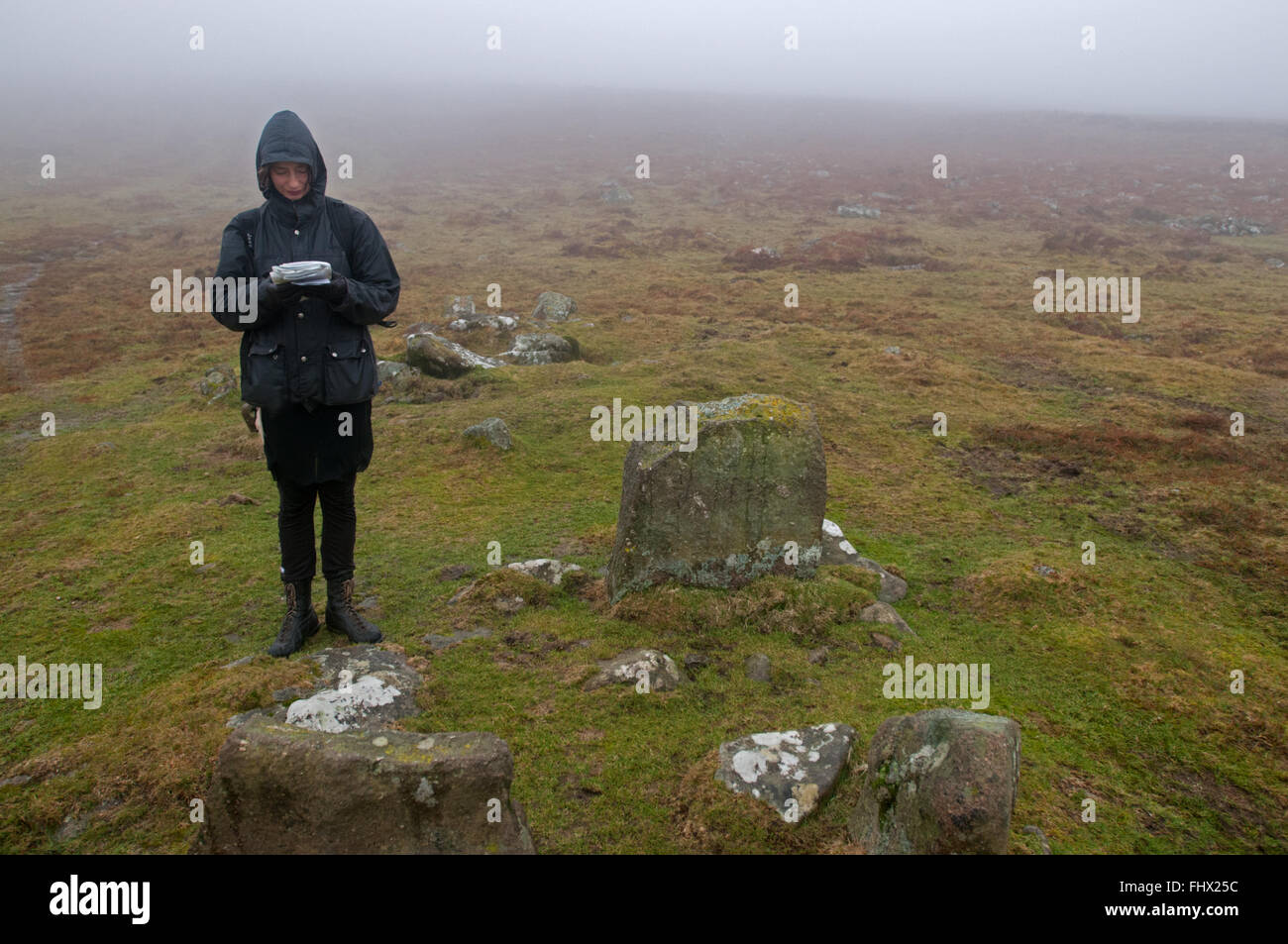 A tourist on Cosdon Hill, Dartmoor, UK looks at her ordnance survey map by the triple stone row Stock Photo