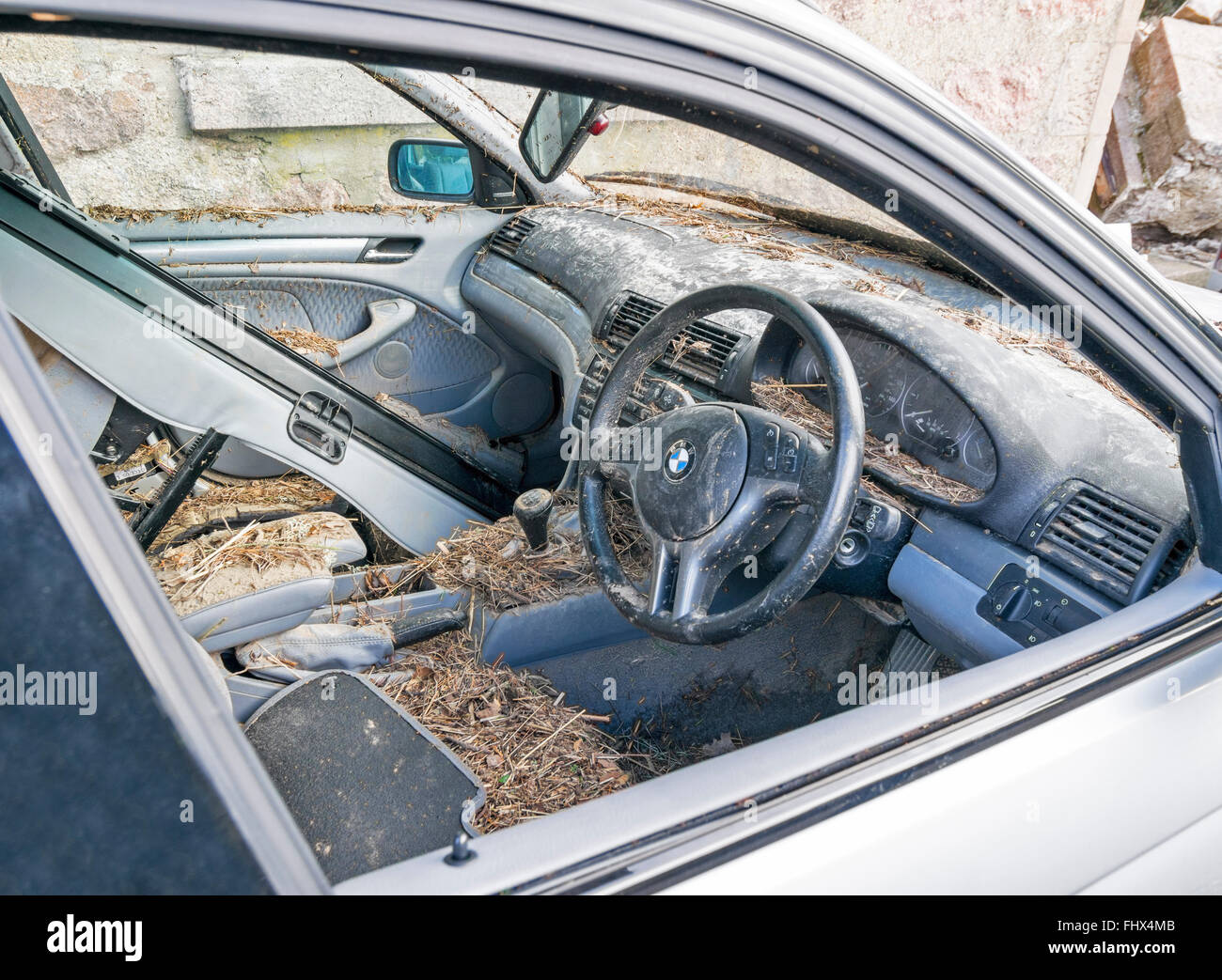 CAR INTERIOR WATER DAMAGE REPAIR