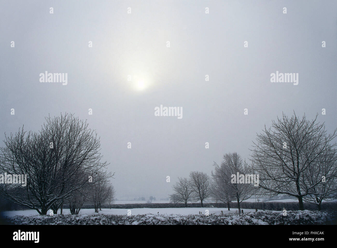 Altostratus translucidus, extensive cloud extensive sheet, translucent cloud layer, revealing the position of the sun, snow-covered countryside and trees below in foreground. Stock Photo