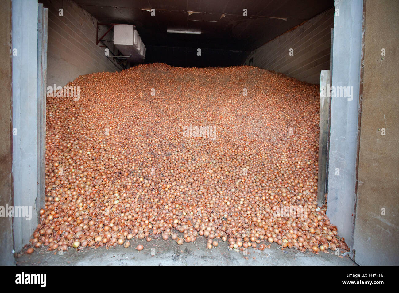 Onion Storage High Resolution Stock Photography and Images Alamy
