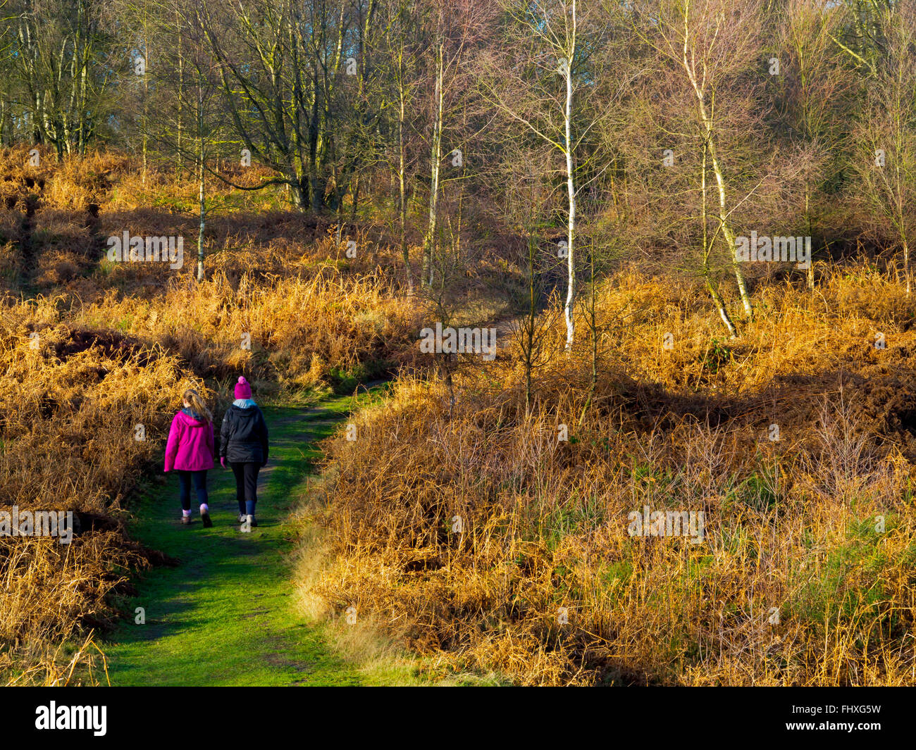 Family walking on footpath in winter on Stanton Moor near Matlock in the Peak District Derbyshire Dales England UK Stock Photo