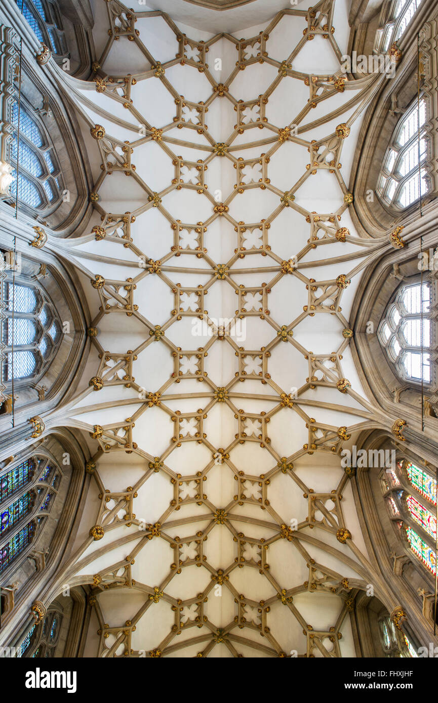 Wells Cathedral vault of the choir / quire. Vaulted ceiling. Somerset, England Stock Photo