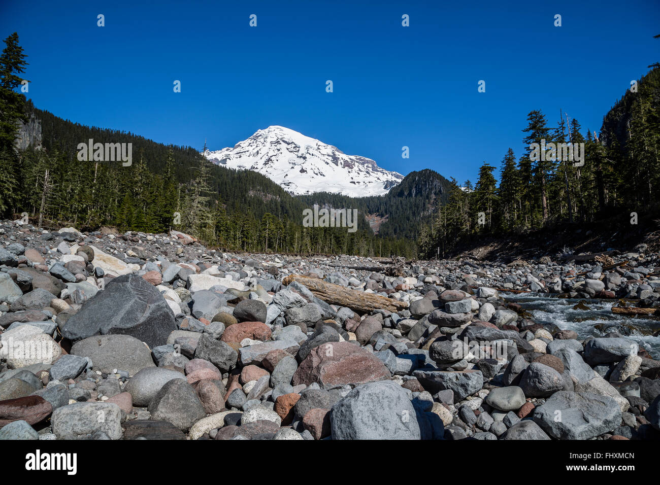 Seattle Mount Rainer Park USA, Washington, Seattle, Mount Rainier National Park Stock Photo - Alamy