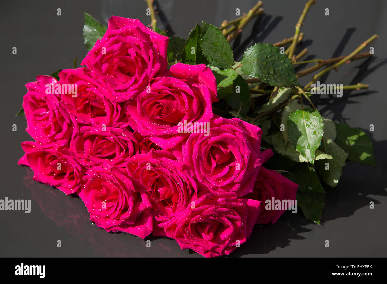 A Bunch of Red Roses Stock Photo