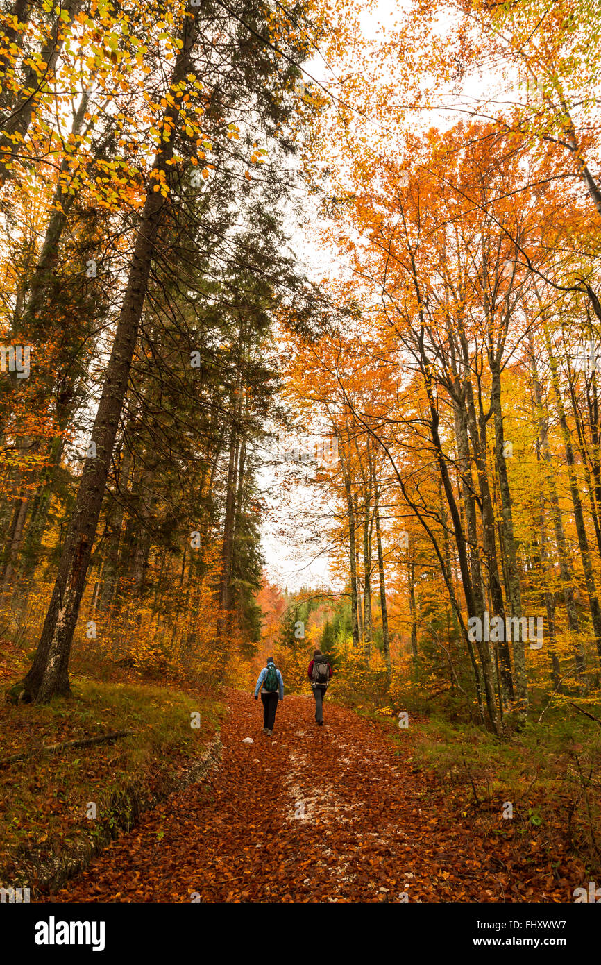 Two girls walking wood hi-res stock photography and images - Alamy