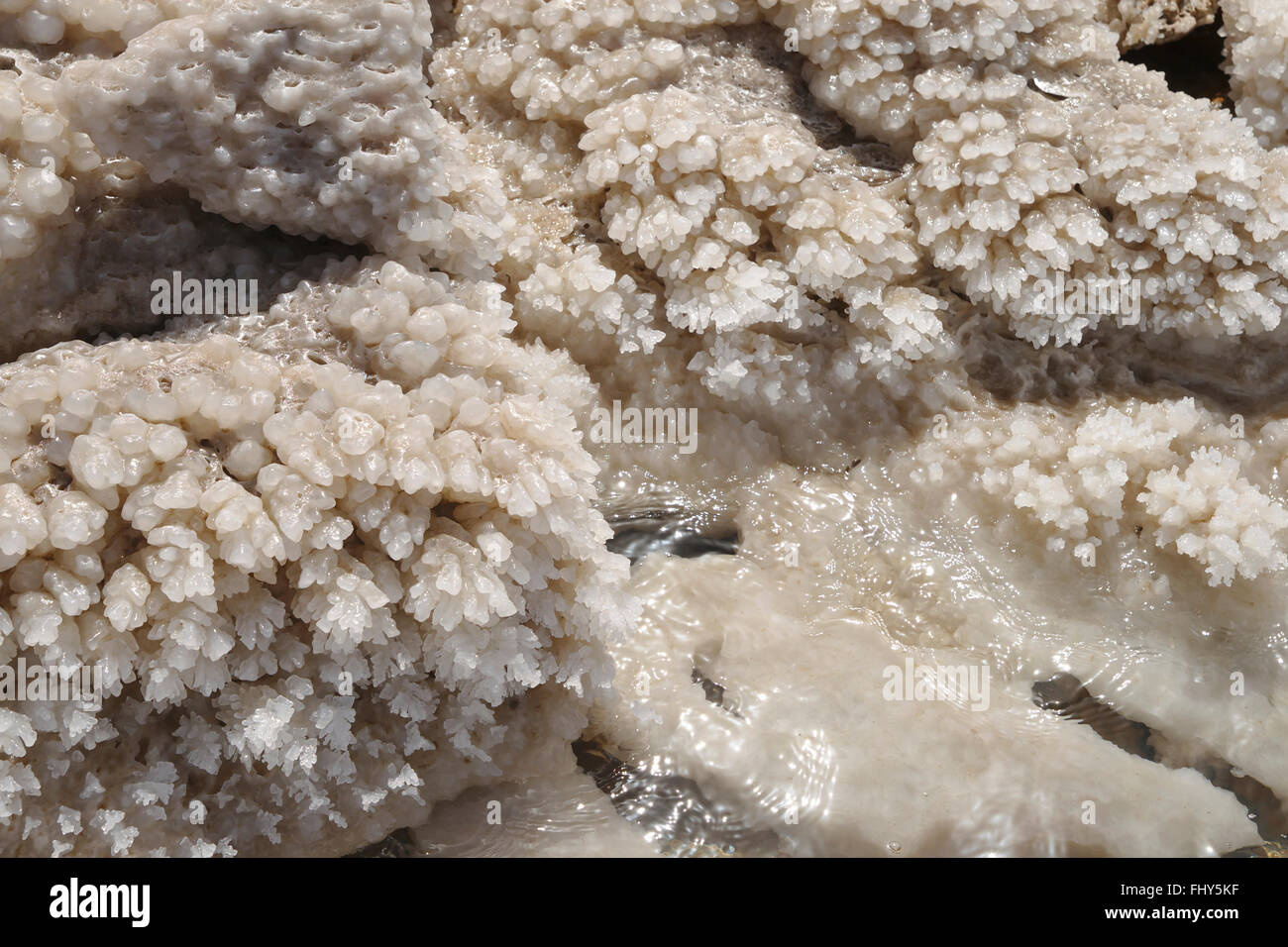 Salt deposits on the shore of the Dead Sea, Wadi Mujib Reserve, Jordan Stock Photo