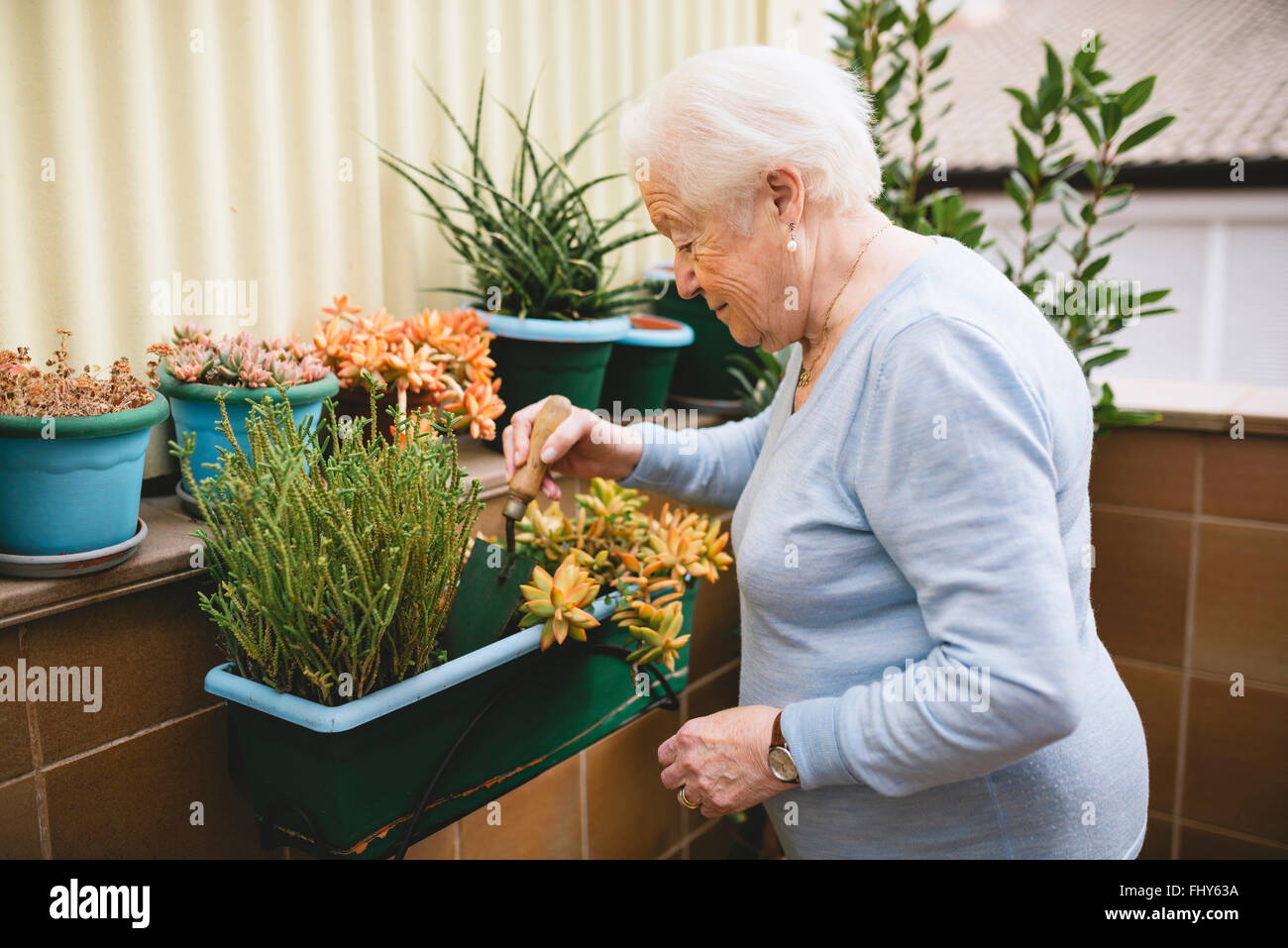 Senior woman gardening on her balcony Stock Photo - Alamy