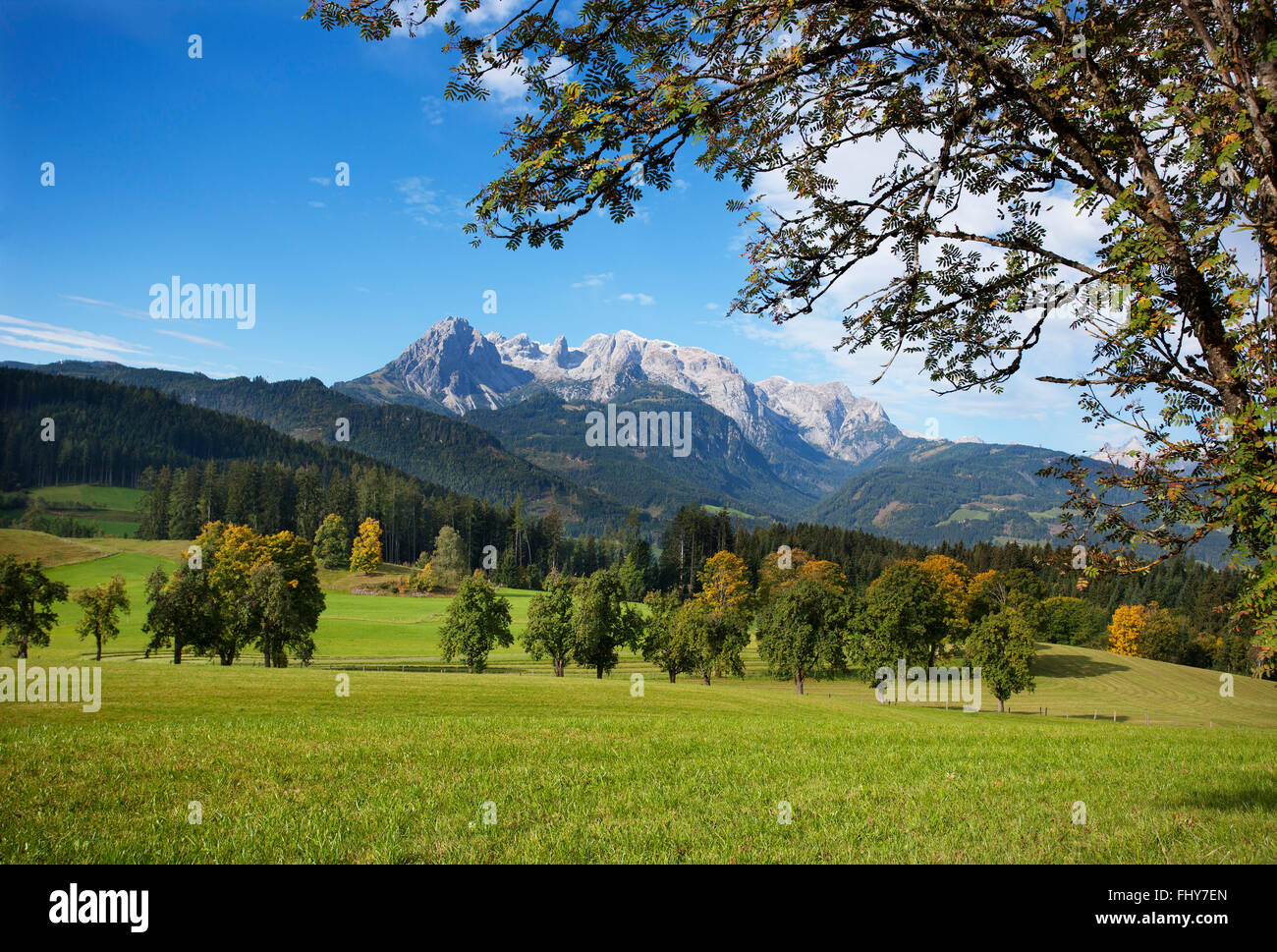 Austria, Salzburg State, Pongau, Werfenweng, mountain pasture, Hochkoenig in the background Stock Photo