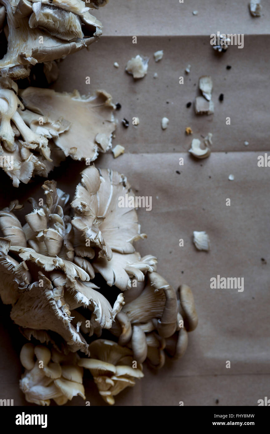 Raw Oyster Mushrooms Stock Photo Alamy