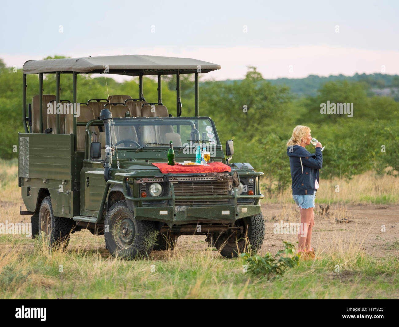 Namibia, Outjo, tourist drinking glass of champagne in Ongava Wild Reservat Stock Photo