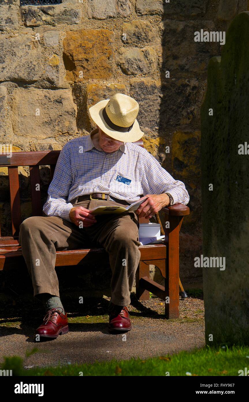 Old man falling asleep while reading on a bench. Stock Photo