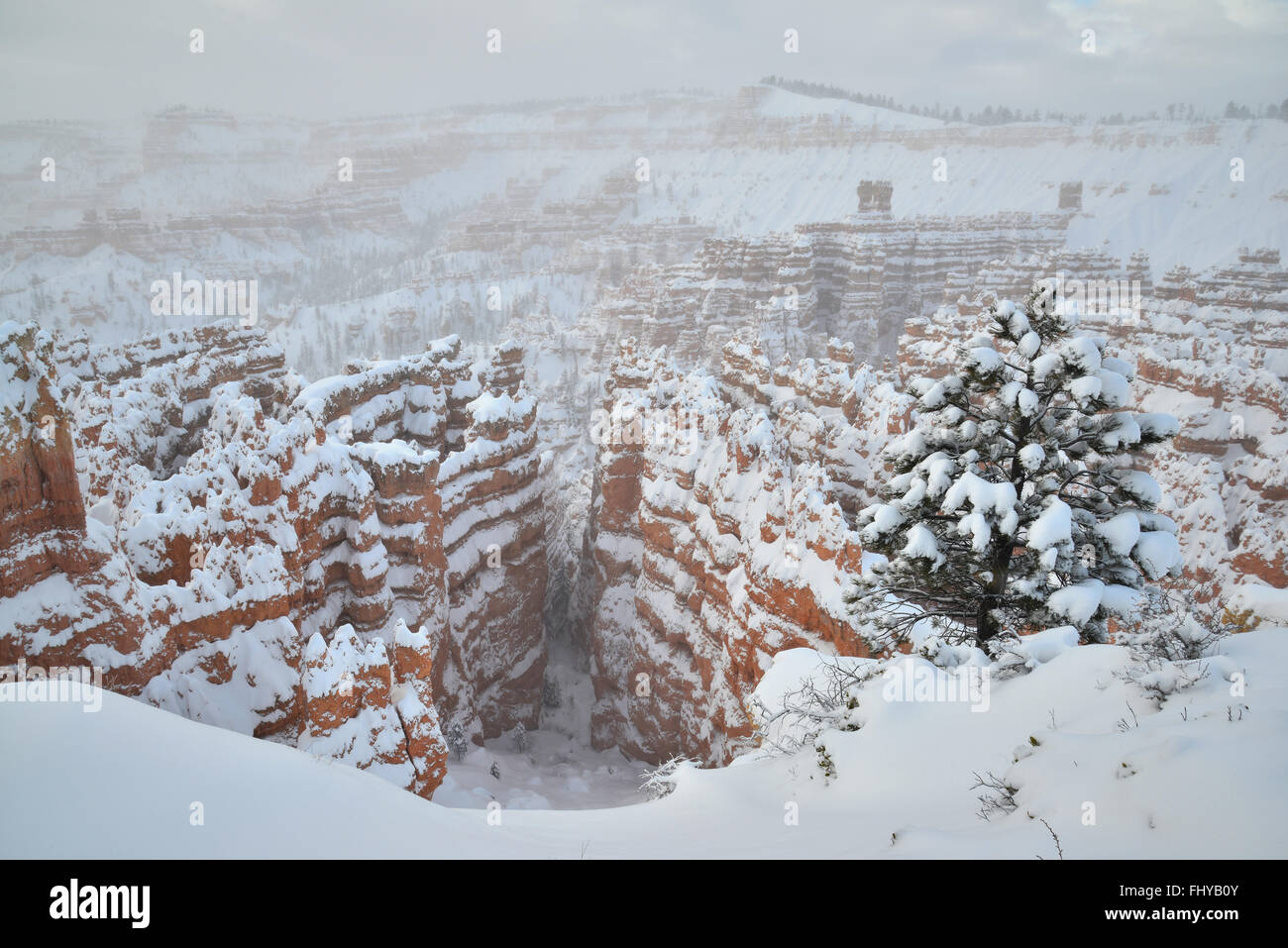 Silent City of Bryce Canyon National Park after a snow storm as seen from the Rim Trail near Sunset Point. Bryce is in SE Utah. Stock Photo