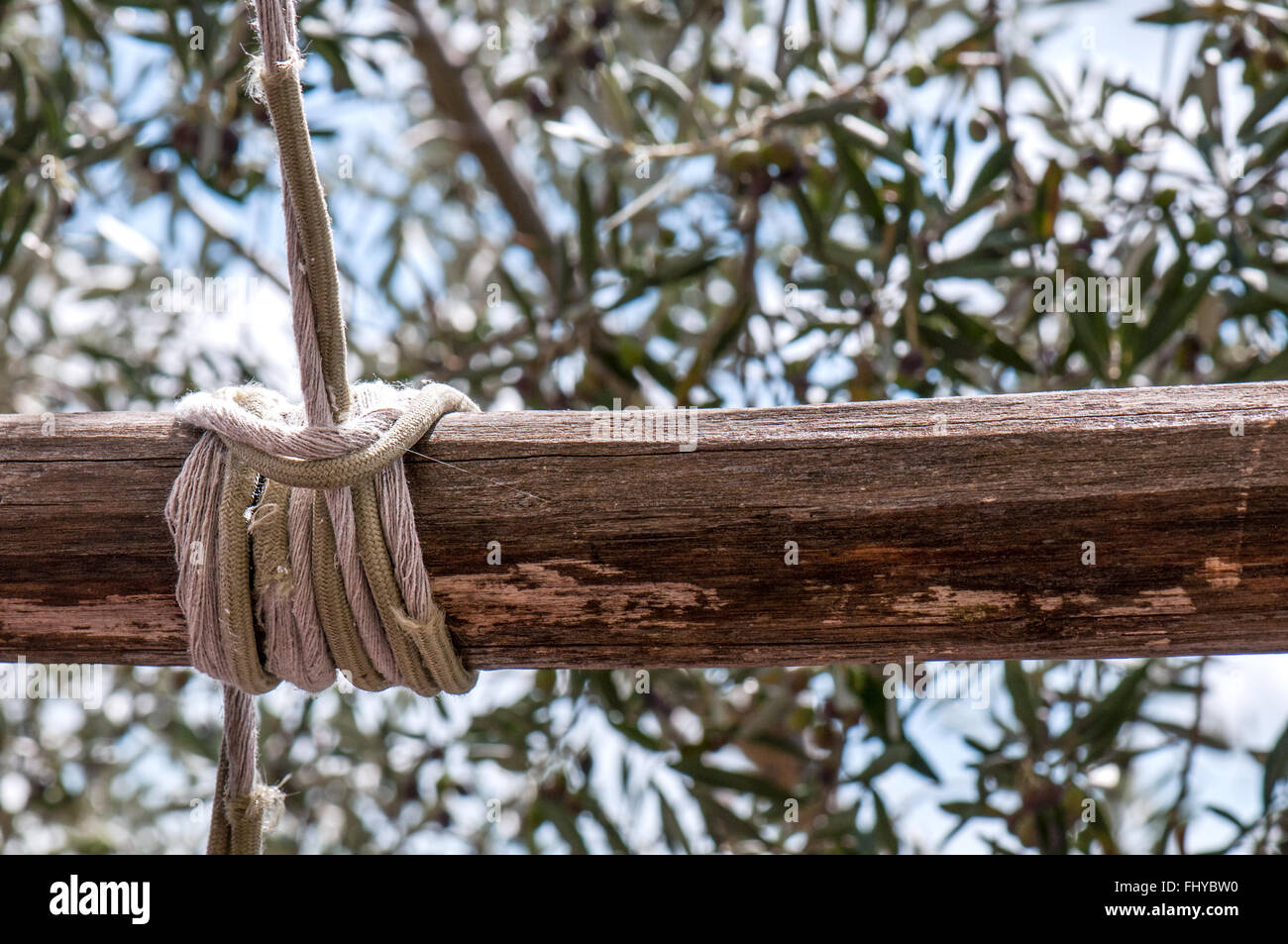 tight rope to pole with background of field of olive Stock Photo