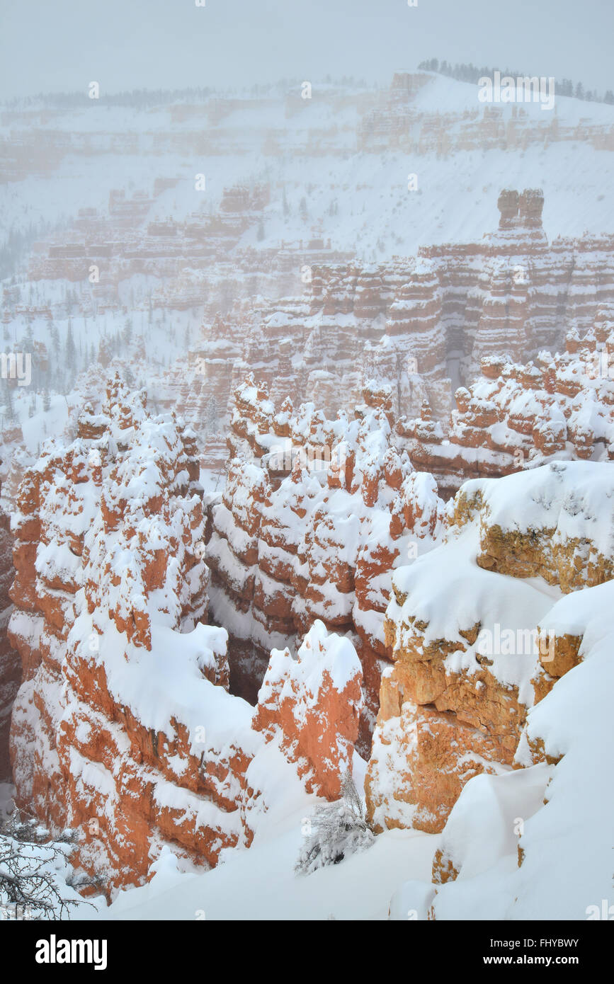 Silent City of Bryce Canyon National Park after a snow storm as seen from the Rim Trail near Sunset Point. Bryce is in SE Utah. Stock Photo