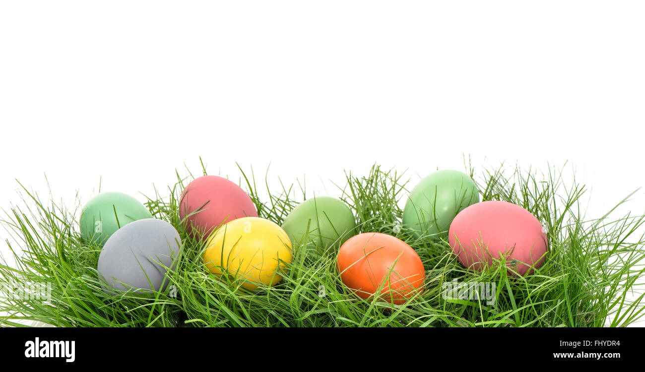 Colorful easter eggs in green grass over white background Stock Photo ...