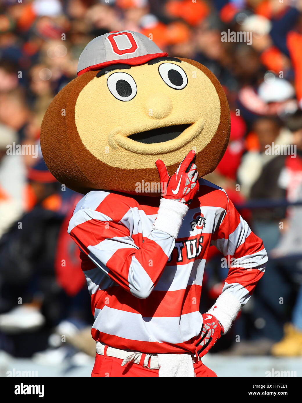 Ohio State Buckeyes mascot Brutus is seen during an NCAA football game ...