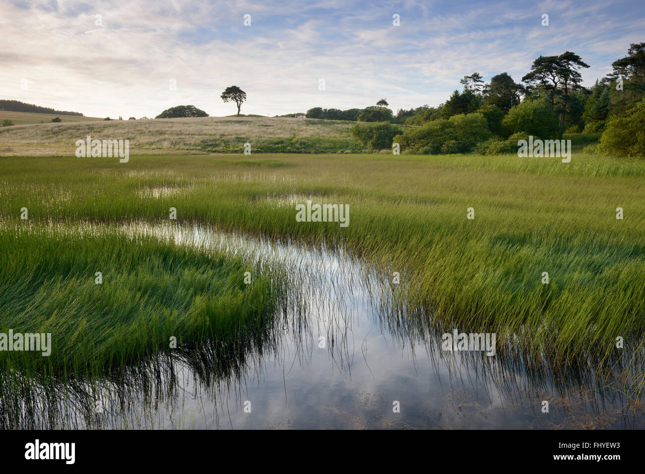 The Waldegrave Pond near Priddy, Somerset, on a summer evening. Stock Photo
