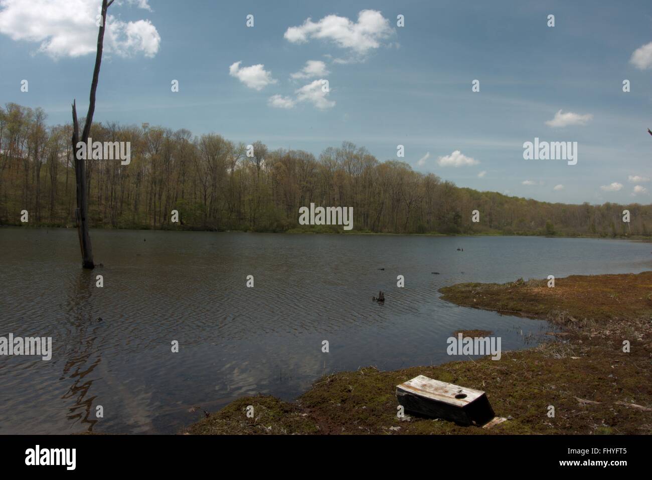 Cranberry Glade Lake in southwestern Pennsylvania Stock Photo - Alamy