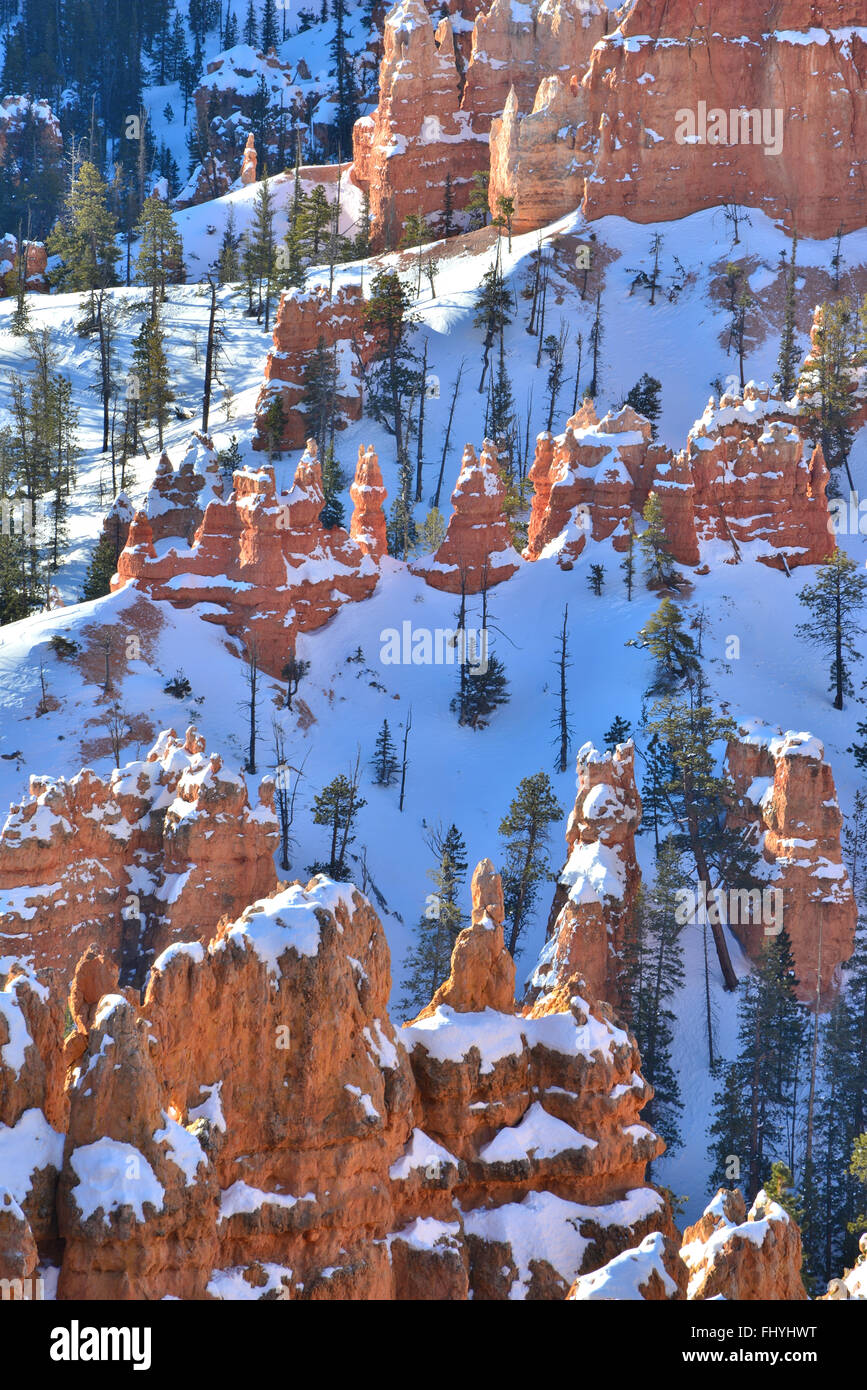 Snow covered hoodoos in the Silent City as seen from the Rim Trail west of Sunset Point in Bryce Canyon National Park in Utah Stock Photo