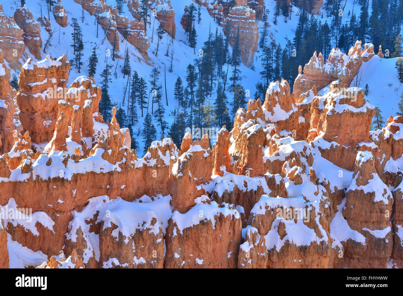 Snow covered hoodoos in the Silent City as seen from the Rim Trail west of Sunset Point in Bryce Canyon National Park in Utah Stock Photo