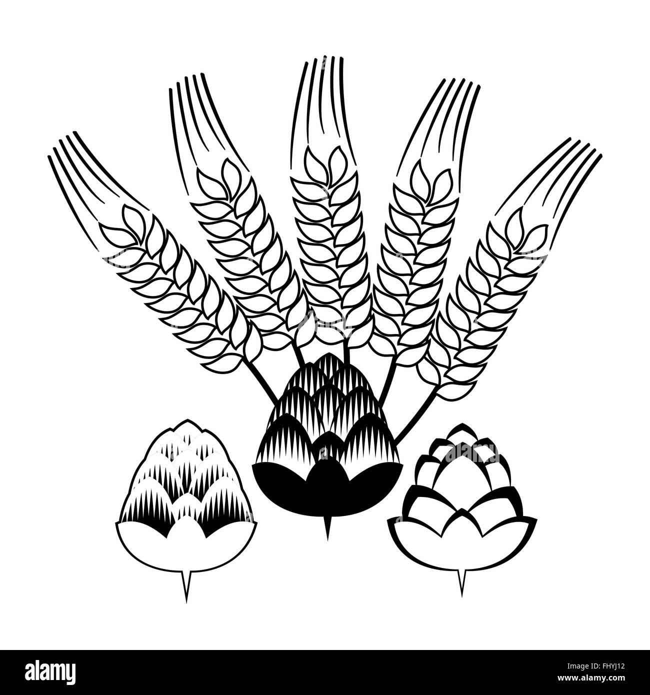 Black and white hop flowers with spikes, doodles. Beer vector ...