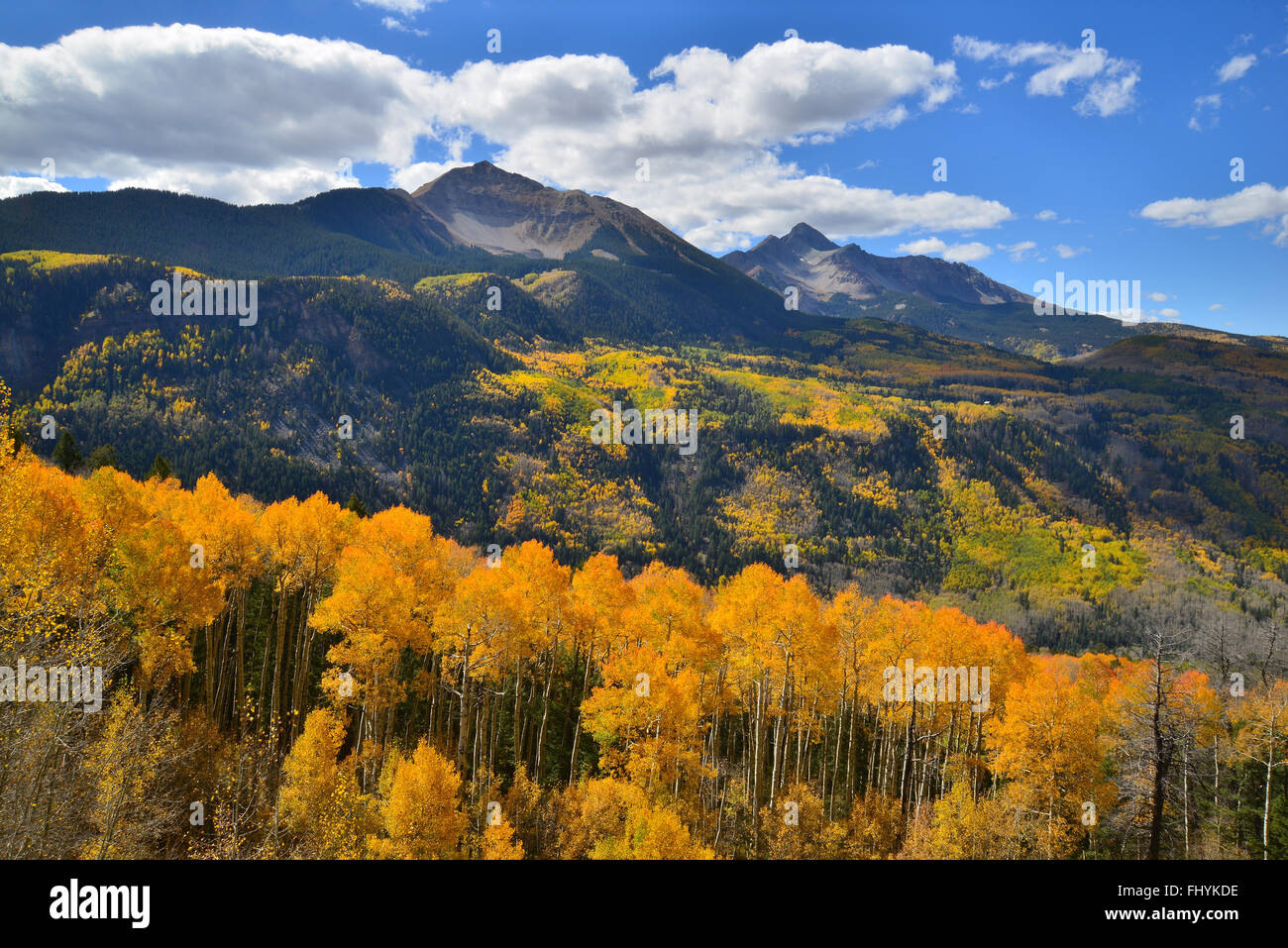 Fall color comes to Colorado along HWY 145 south of Telluride, Colorado, but north of Lizard Head Pass. Stock Photo