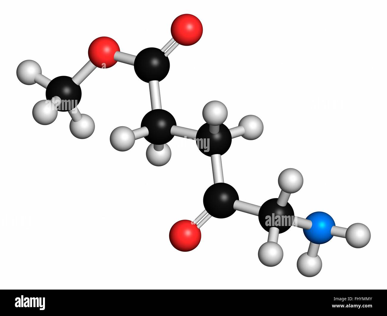 Methyl aminolevulinate non-melanoma skin cancer drug molecule Used in photodynamic therapy Atoms are represented as spheres and Stock Photo