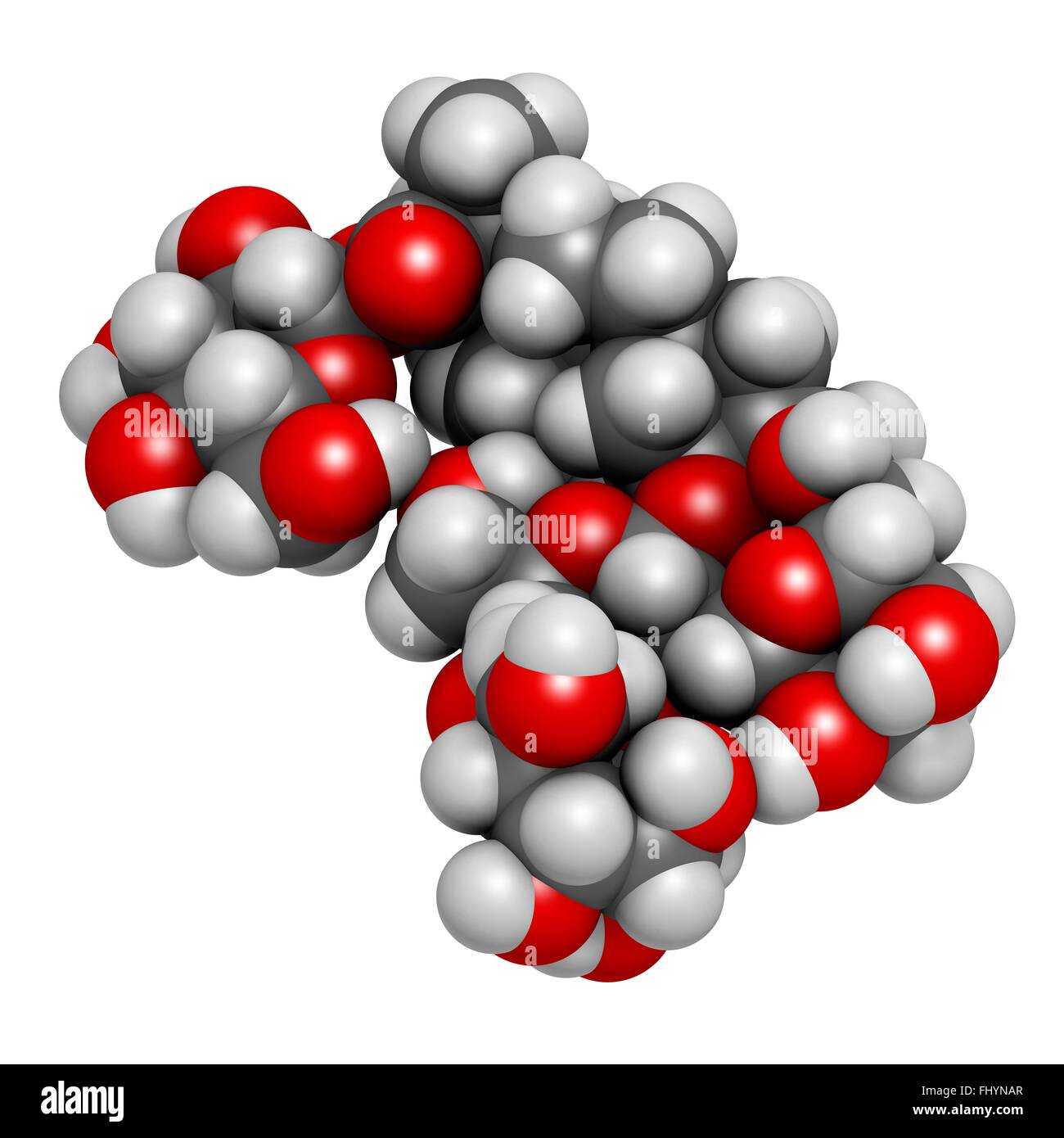 Rebaudioside A molecule One of the main steviol glycosides found in