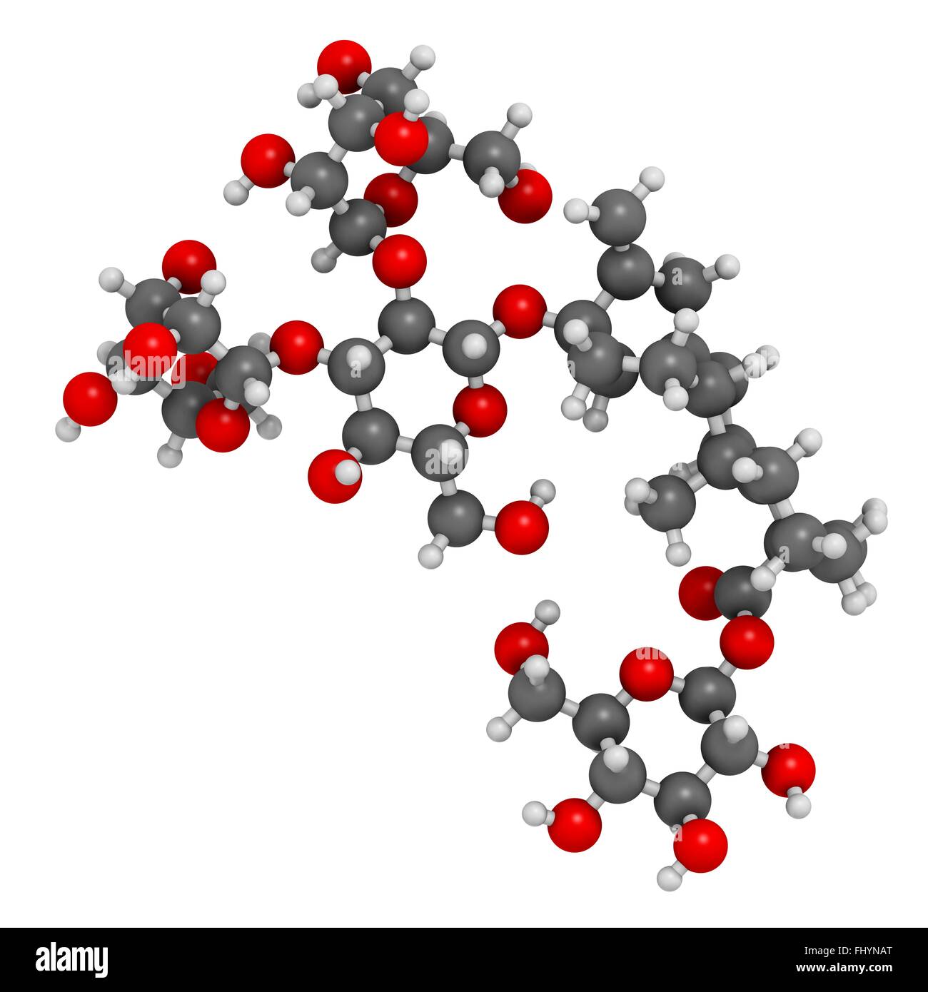 Rebaudioside A molecule One of the main steviol glycosides found in