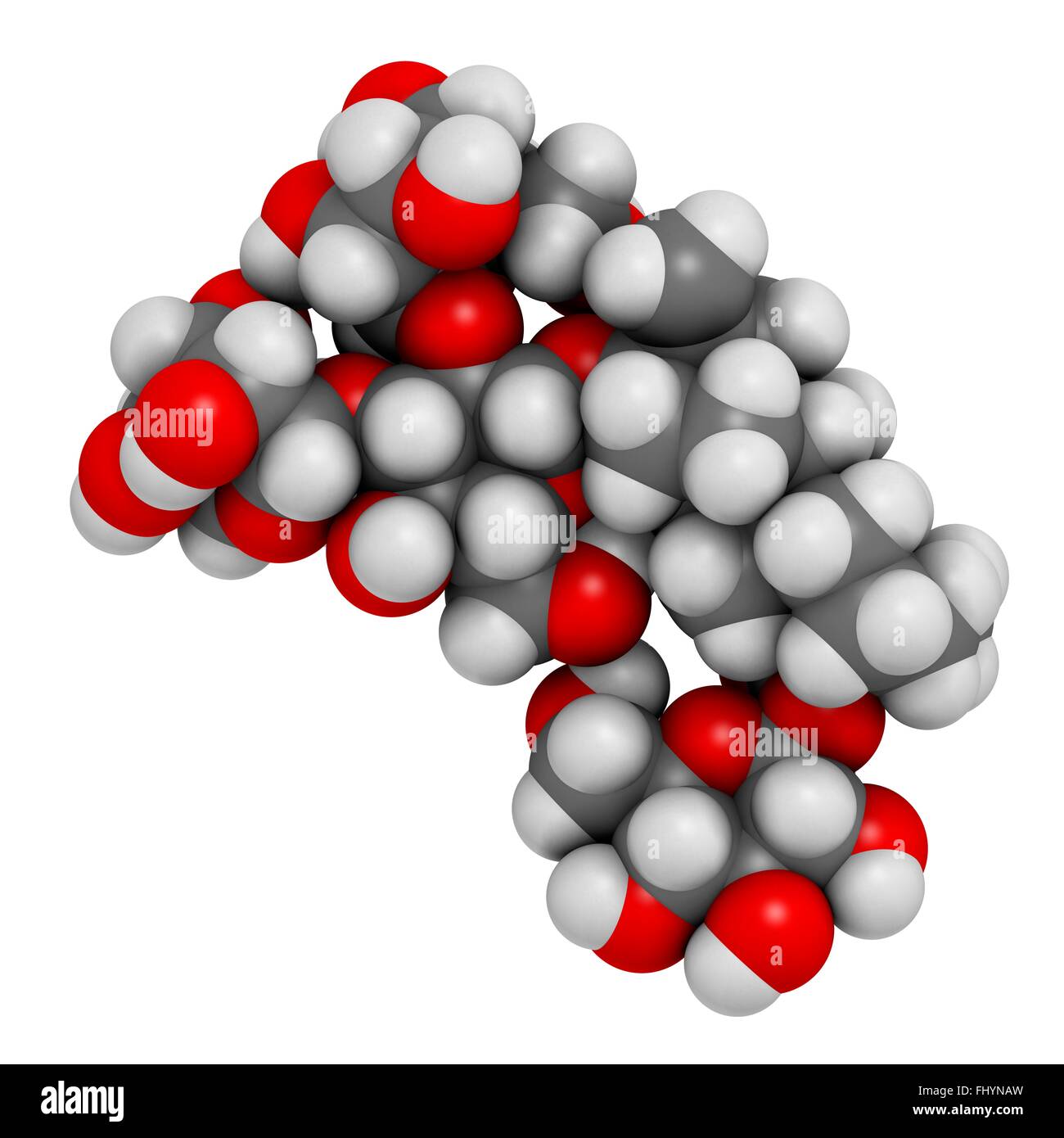 Rebaudioside A molecule One of the main steviol glycosides found in