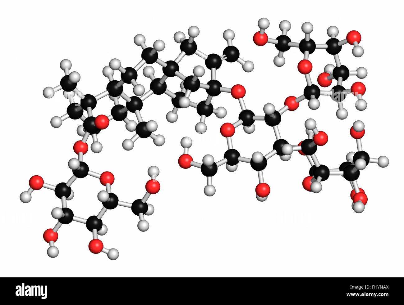 Rebaudioside A molecule One of the main steviol glycosides found in
