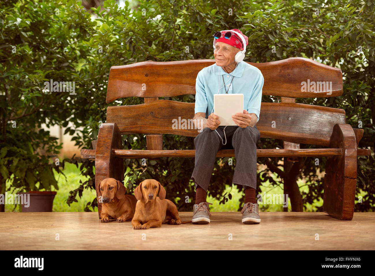 MODEL RELEASED. Senior man sitting on a bench listening to music with his dogs. Stock Photo