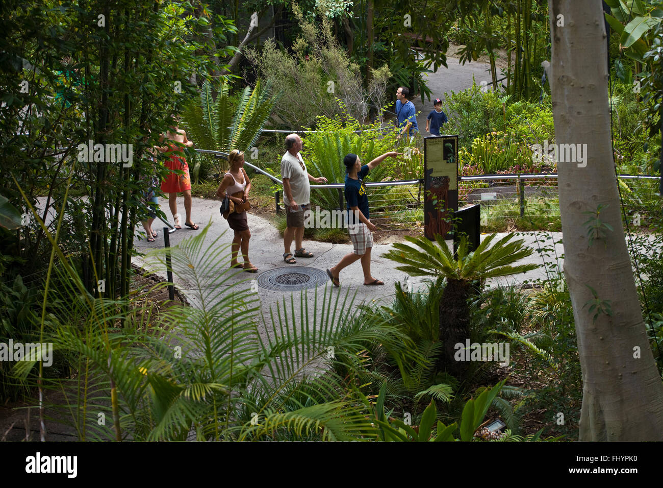 TOURISTS are walking along a pathway at the SAN DIEGO ZOO - CALIFORNIA Stock Photo