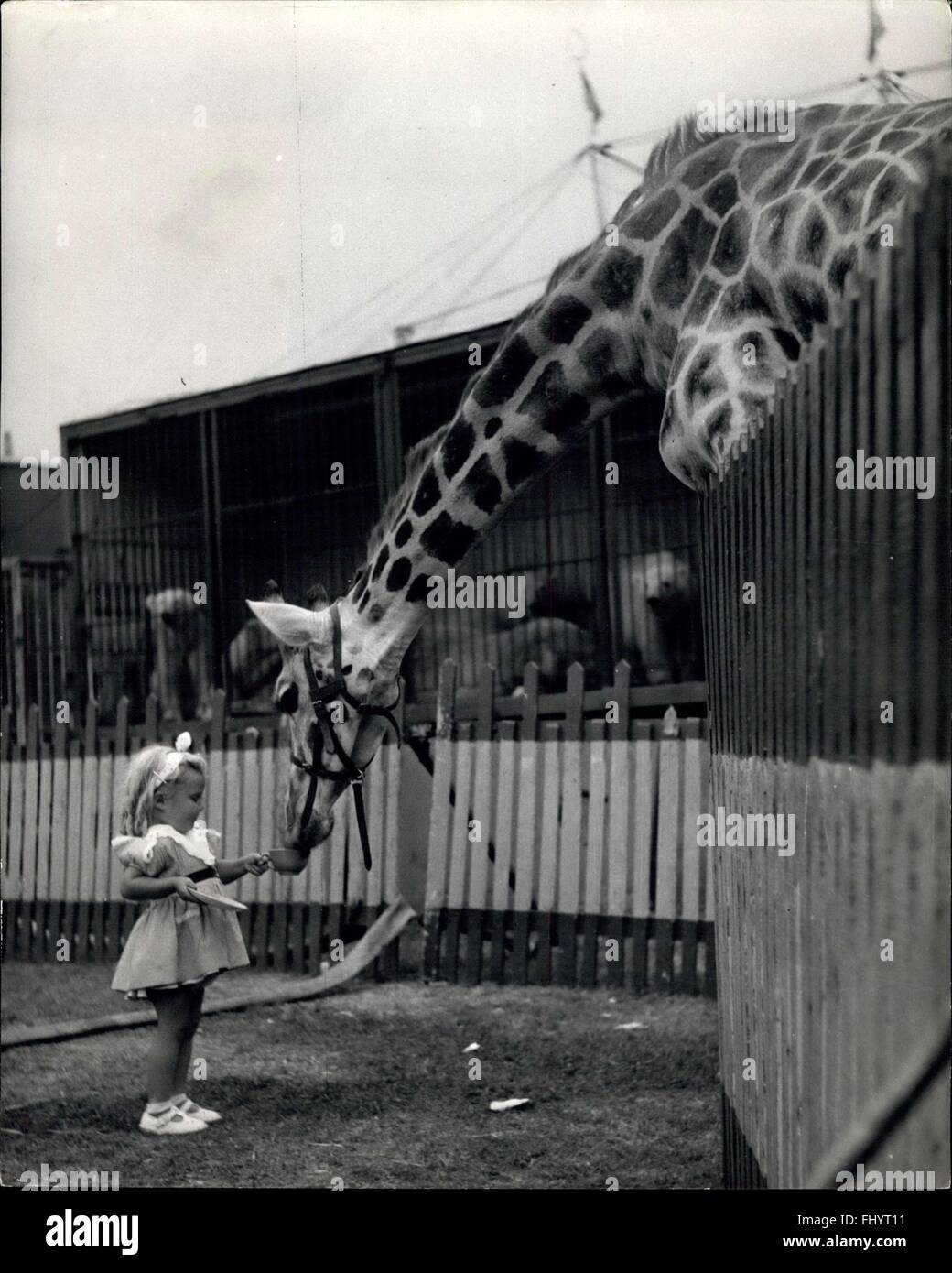 1967 - Cup of tear for George.: ''That's just how i like it'' says George the Giraffe, as he accepts a nice cup of tea from little Vikki Fell, aged 8 who was on a visit to the Chipperfield Circus's Giant enagerie on Clapham Common. This is one occasion when George did himself a it of good by sticking his neck out! © Keystone Pictures USA/ZUMAPRESS.com/Alamy Live News Stock Photo