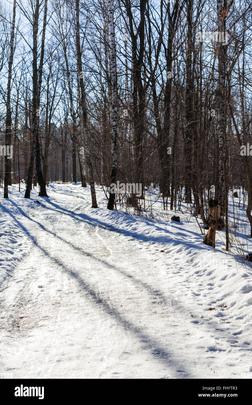 slippy footpath in urban park in sunny winter day Stock Photo - Alamy