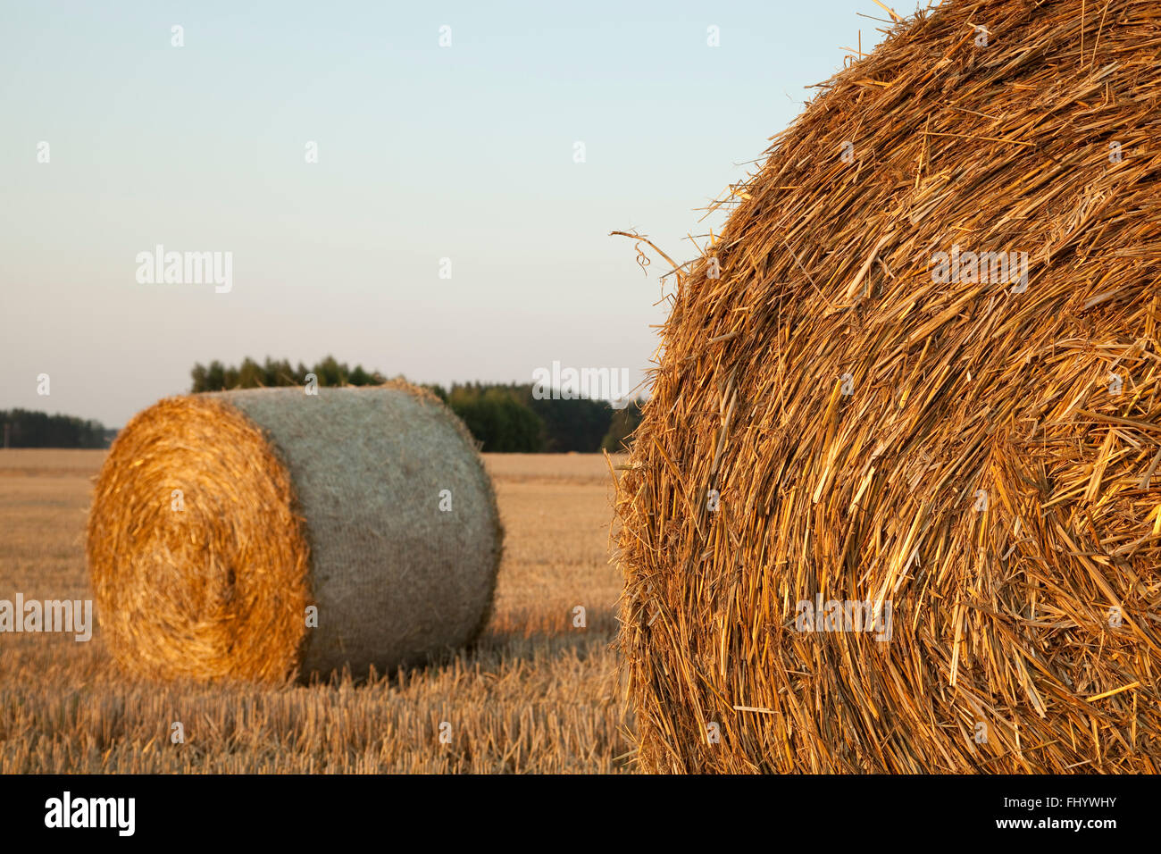 Rolled straw hi-res stock photography and images - Alamy