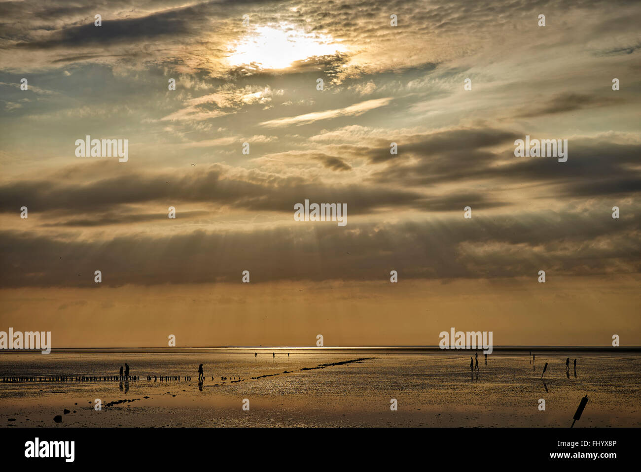 Germany, Dithmarschen, Friedrichskoog-Spitze, Sunset at the North Sea tidelands Stock Photo