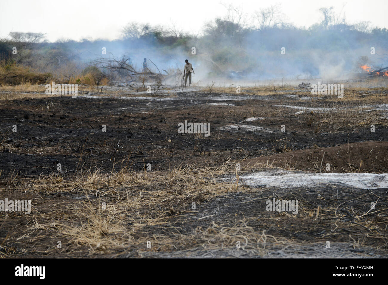 ETHIOPIA, Southern Nations, Lower Omo valley, burning of bush forest