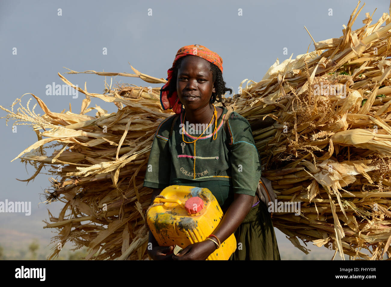 ETHIOPIA, Southern Nations, Lower Omo valley, tribal woman carry maize straw Stock Photo