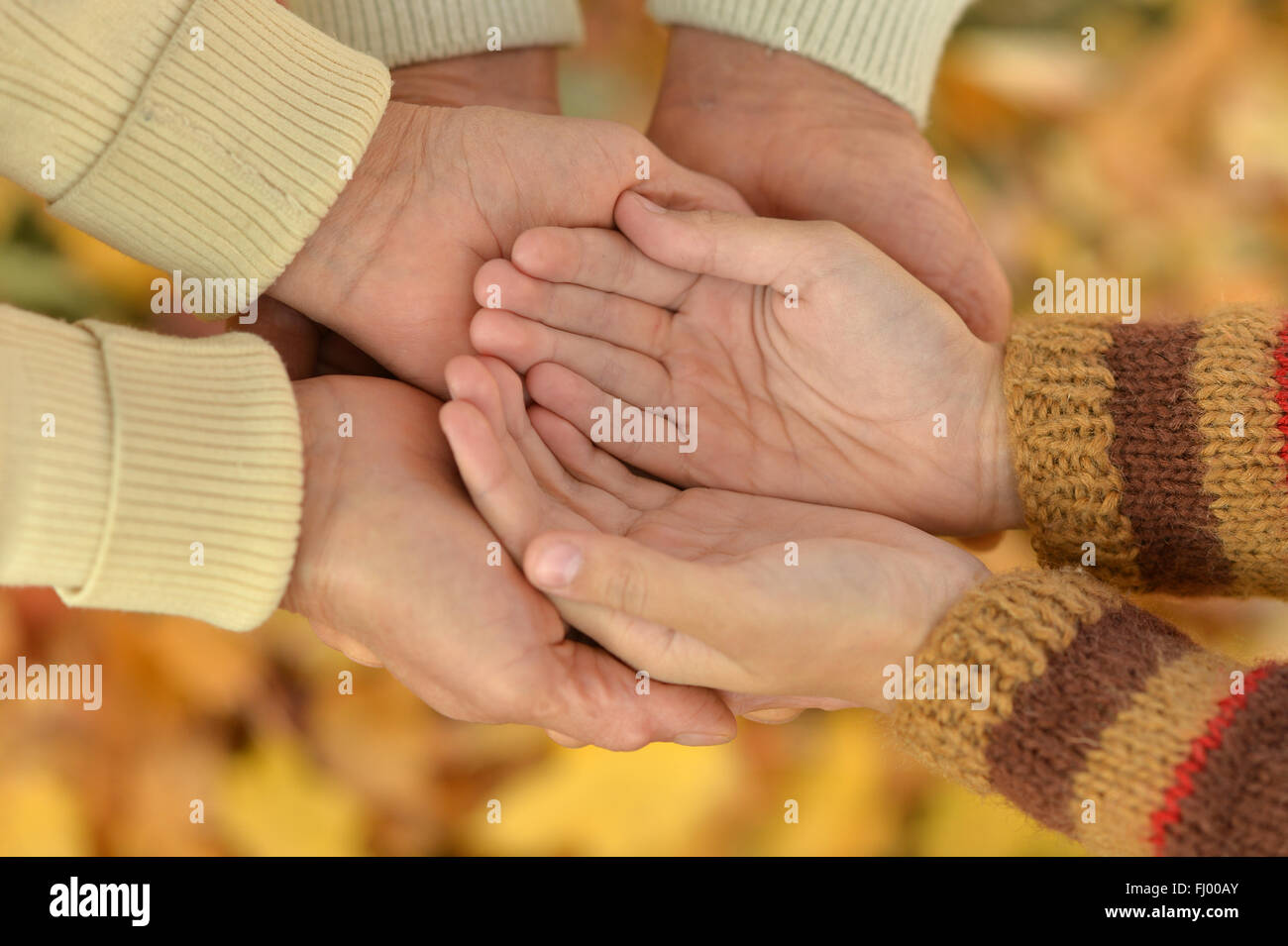 Hands against  leaves Stock Photo