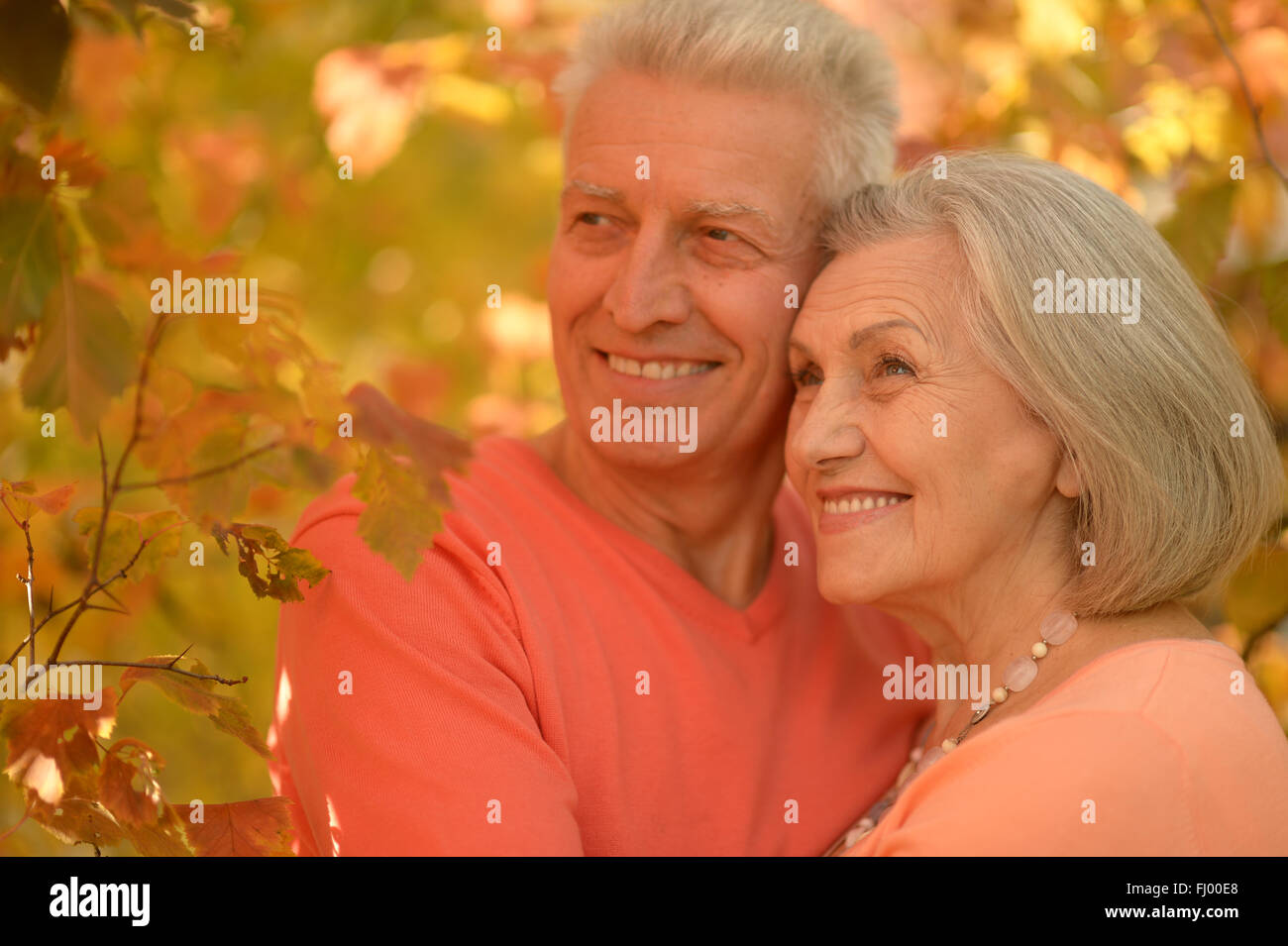 Portrait of a mature couple Stock Photo - Alamy