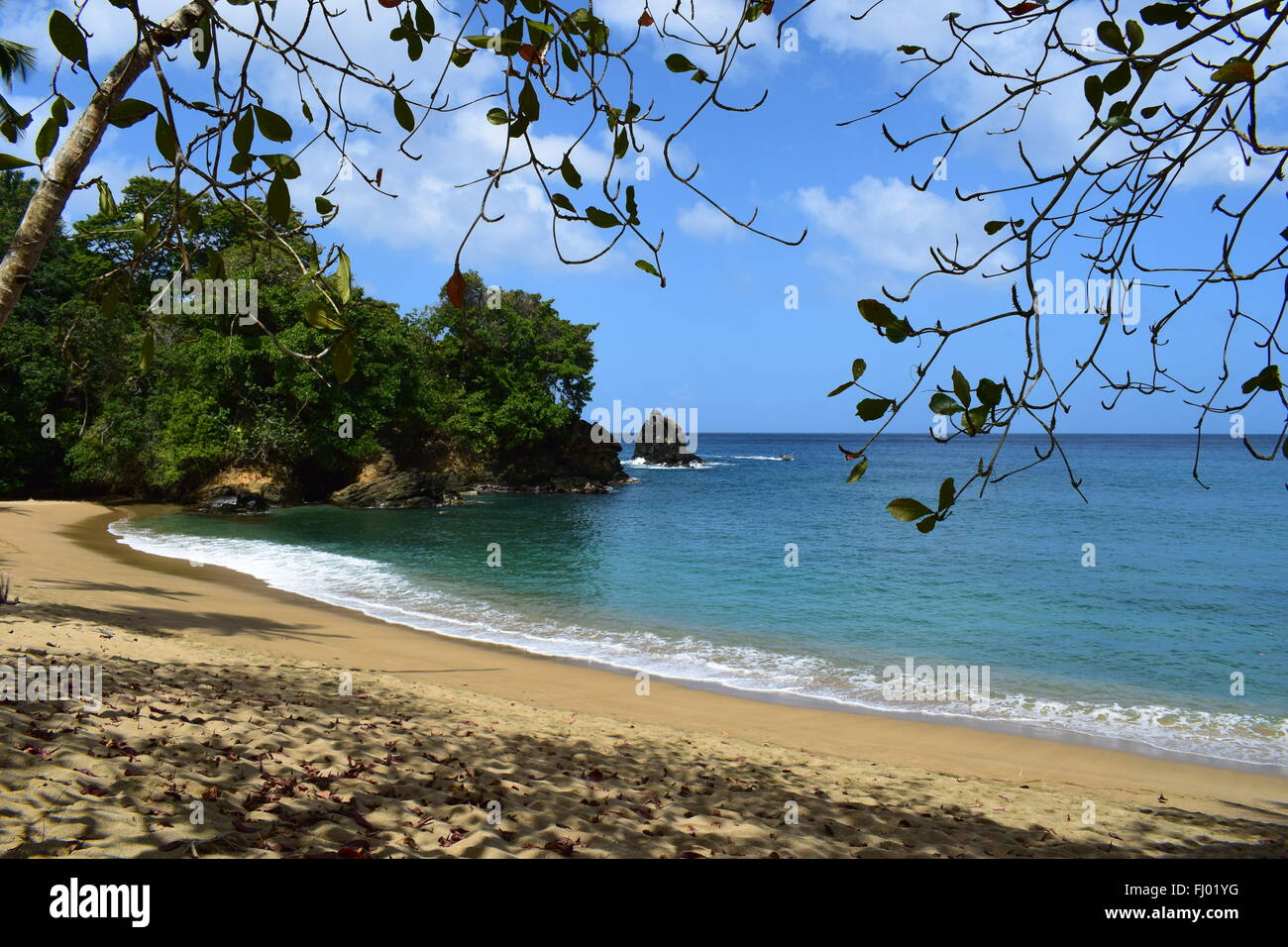 The beautiful Englishman's Bay, Tobago Stock Photo Alamy