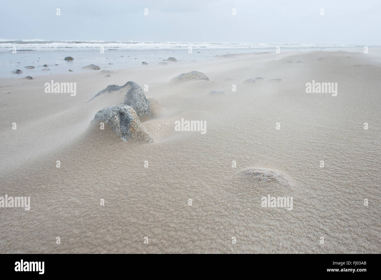 Stones and windblown sand on the sandy beach of Langeoog, East Frisia, Lower Saxony, Germany Stock Photo