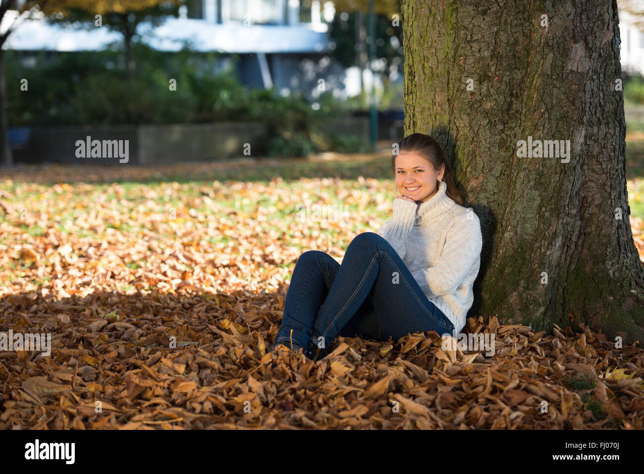 young woman in autumn park sitting near tree Stock Photo - Alamy