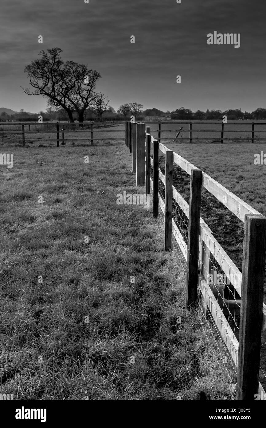 Cheshire countryside in black and white Stock Photo