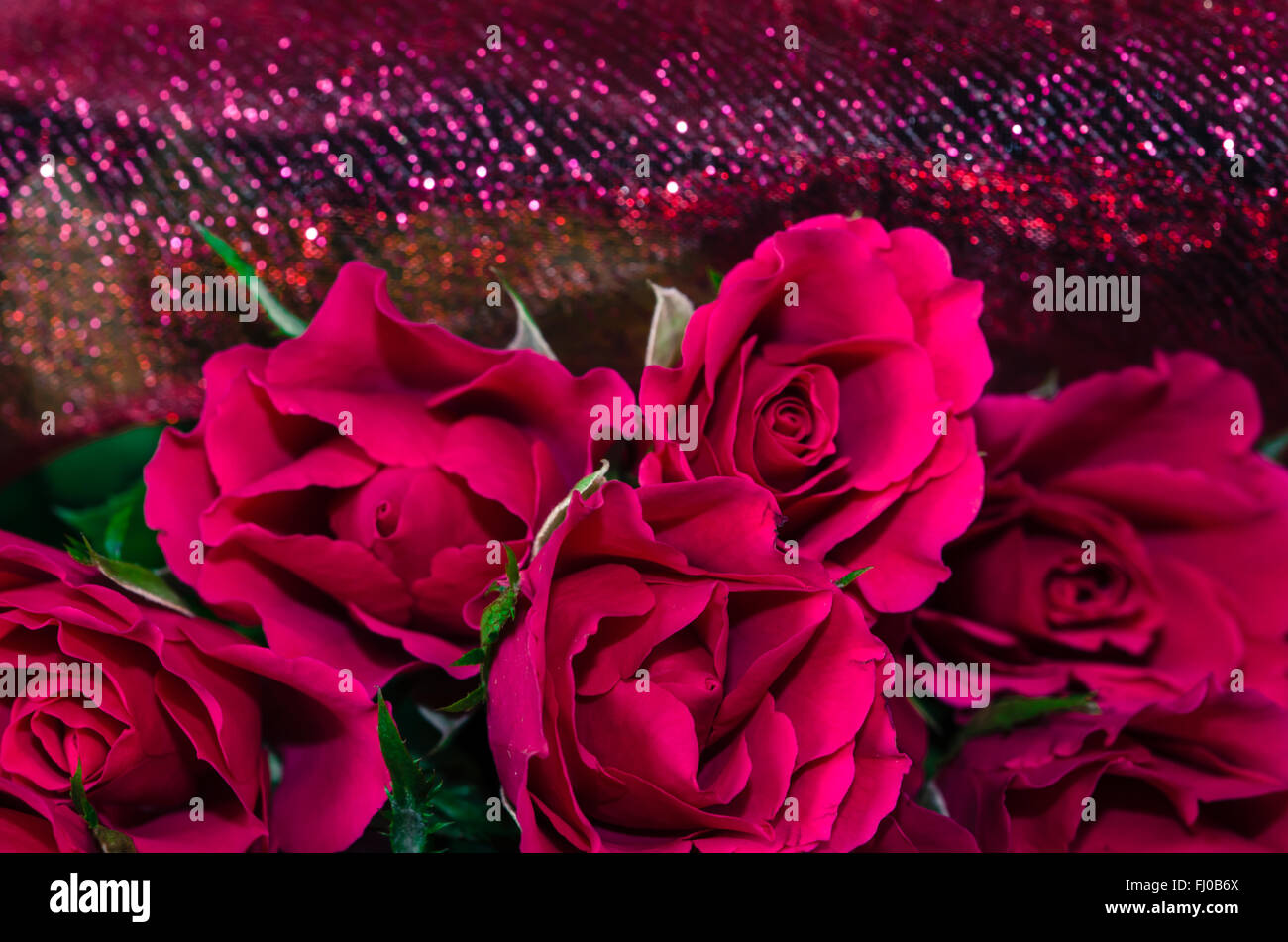 Shiny Pink Roses Background bunch of pink roses on shiny background Stock Photo - Alamy