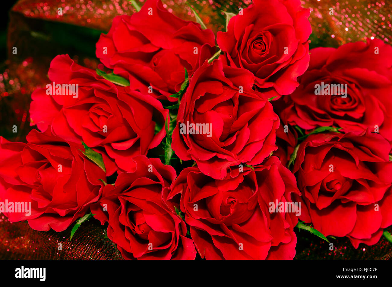 bunch of red roses on shiny background Stock Photo - Alamy bunch of red roses on shiny background Stock Photo - Alamy