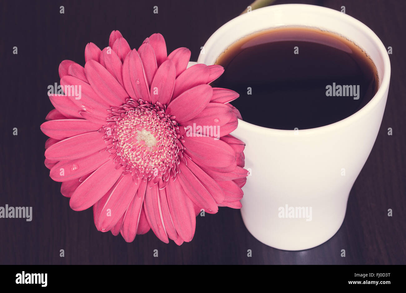 Pink gerbera flower and cup of coffee on the wooden desk. Selective focus, toned Stock Photo