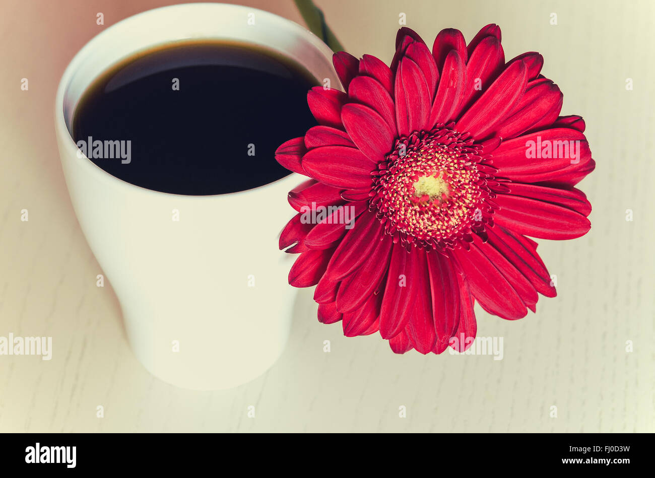 Red gerbera flower and cup of coffee on the wooden desk. Selective focus, toned Stock Photo